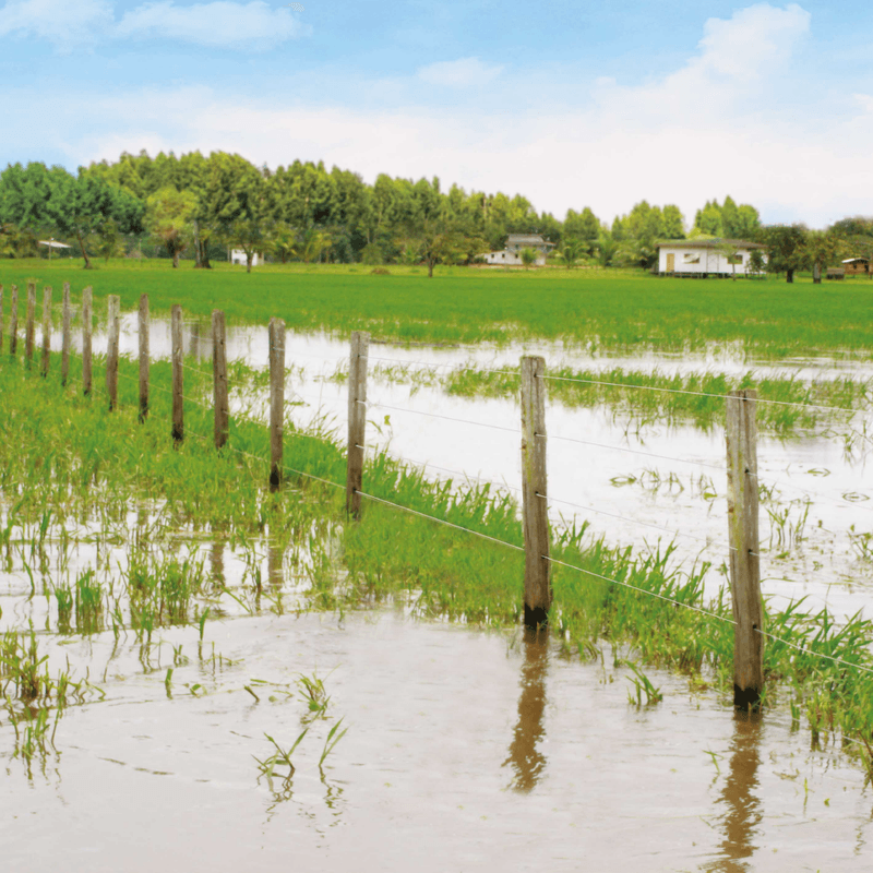 Arame Liso ZZ 700 Bezinal Belgo® | Arame Ovalado 1000m - Imagem 3