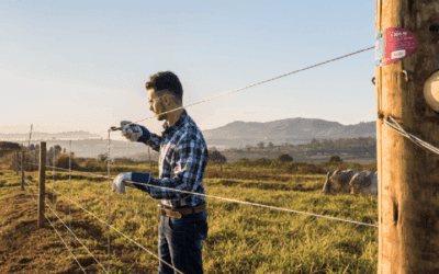 Arames Belgo em Rio Piracicaba – MG