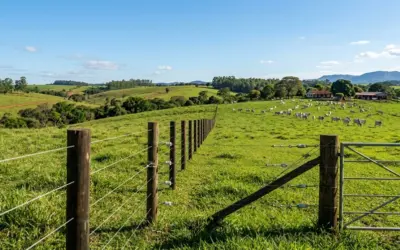 Arame Farpado vs Arame Liso Ovalado: Qual o Melhor para Cercamento Rural?