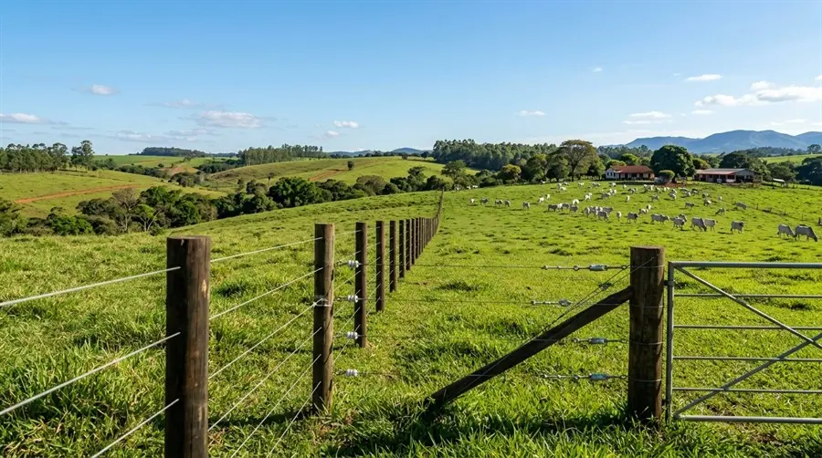 Arame Farpado vs Arame Liso Ovalado: Qual o Melhor para Cercamento Rural? Arame Farpado vs Arame Liso Ovalado: Qual o Melhor para Cercamento Rural?